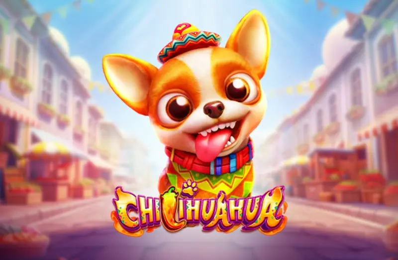 CHILIHUAHUA