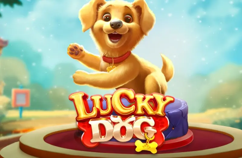 FAT PANDA Lucky Dog