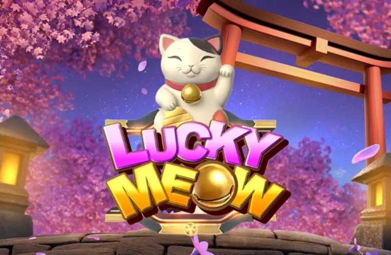 IBEX LUCKY MEOW